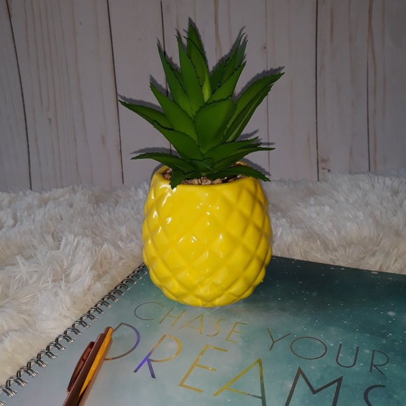 Potted Artificial Succulent Pineapple Decoration - Picture 8 of 8